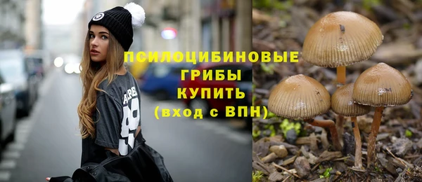 ALPHA-PVP Мегион