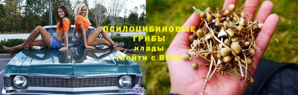 скорость mdpv Каменка