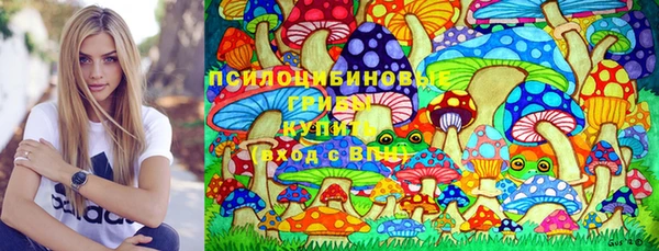 дмт Каменск-Шахтинский